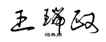 曾慶福王瑞政草書個性簽名怎么寫