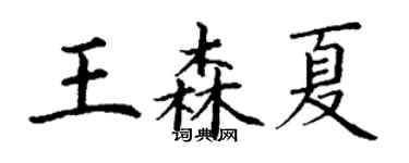 丁謙王森夏楷書個性簽名怎么寫
