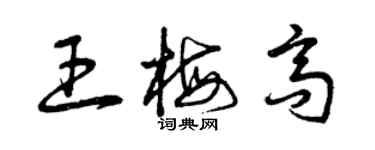 曾慶福王梅高草書個性簽名怎么寫