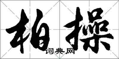 胡問遂柏操行書怎么寫