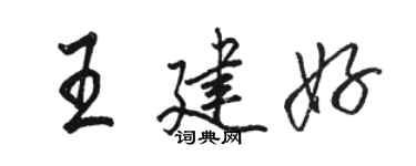 駱恆光王建好行書個性簽名怎么寫