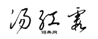 梁錦英湯紅霞草書個性簽名怎么寫