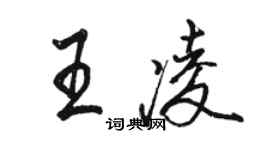 駱恆光王凌行書個性簽名怎么寫