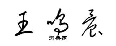 梁錦英王鳴晨草書個性簽名怎么寫