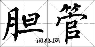 翁闓運膽管楷書怎么寫