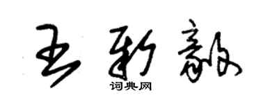 朱錫榮王新毅草書個性簽名怎么寫