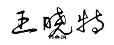 曾慶福王曉特草書個性簽名怎么寫
