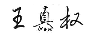 駱恆光王真權行書個性簽名怎么寫