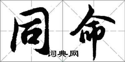 胡問遂同命行書怎么寫