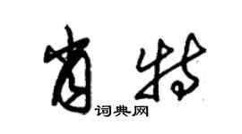 朱錫榮肖特草書個性簽名怎么寫