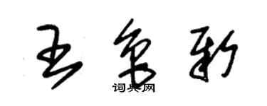 朱錫榮王魯新草書個性簽名怎么寫