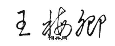 駱恆光王梅卿草書個性簽名怎么寫