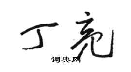 駱恆光丁亮草書個性簽名怎么寫