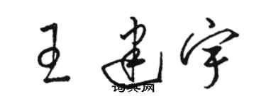 駱恆光王建宇草書個性簽名怎么寫