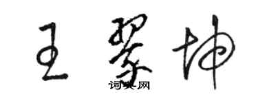 駱恆光王翠坤草書個性簽名怎么寫