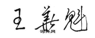 駱恆光王華魁草書個性簽名怎么寫