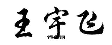 胡問遂王宇飛行書個性簽名怎么寫