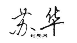 駱恆光蘇華行書個性簽名怎么寫