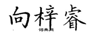 丁謙向梓睿楷書個性簽名怎么寫