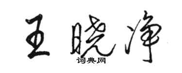 駱恆光王曉淨行書個性簽名怎么寫