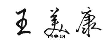 駱恆光王美康行書個性簽名怎么寫