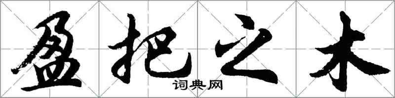 胡問遂盈把之木行書怎么寫