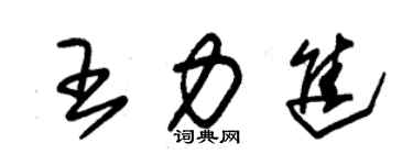 朱錫榮王力進草書個性簽名怎么寫