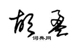 朱錫榮胡盈草書個性簽名怎么寫