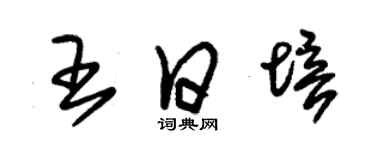 朱錫榮王日培草書個性簽名怎么寫