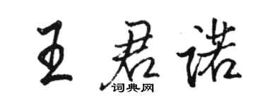 駱恆光王君諾行書個性簽名怎么寫
