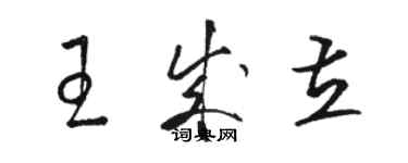 駱恆光王成立草書個性簽名怎么寫