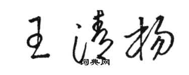 駱恆光王清楊草書個性簽名怎么寫