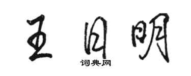 駱恆光王日明行書個性簽名怎么寫