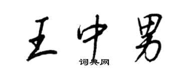 王正良王中男行書個性簽名怎么寫