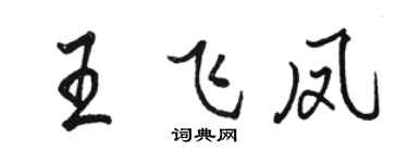 駱恆光王飛鳳行書個性簽名怎么寫