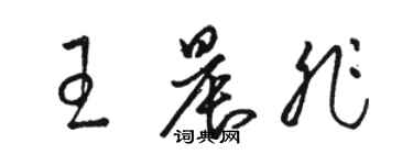 駱恆光王晨非草書個性簽名怎么寫