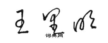 駱恆光王里明草書個性簽名怎么寫