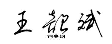 梁錦英王韶斌草書個性簽名怎么寫