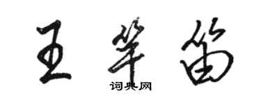 駱恆光王竿笛行書個性簽名怎么寫