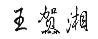 駱恆光王賀湘行書個性簽名怎么寫