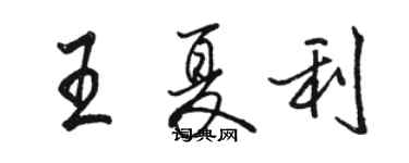 駱恆光王夏利行書個性簽名怎么寫