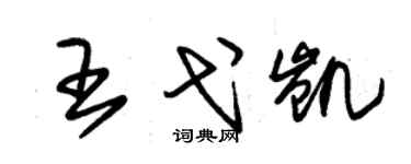 朱錫榮王弋凱草書個性簽名怎么寫