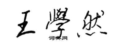 王正良王學然行書個性簽名怎么寫