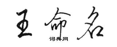 駱恆光王命名行書個性簽名怎么寫