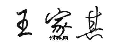 駱恆光王家其行書個性簽名怎么寫