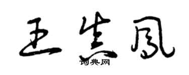 曾慶福王真鳳草書個性簽名怎么寫