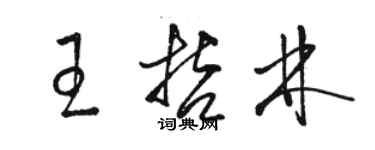 駱恆光王哲林草書個性簽名怎么寫