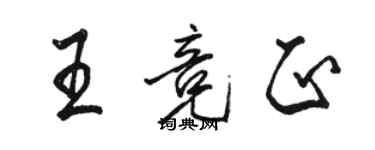 駱恆光王競正行書個性簽名怎么寫