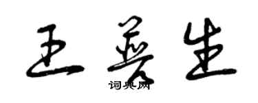 曾慶福王普生草書個性簽名怎么寫