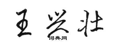 駱恆光王興壯行書個性簽名怎么寫